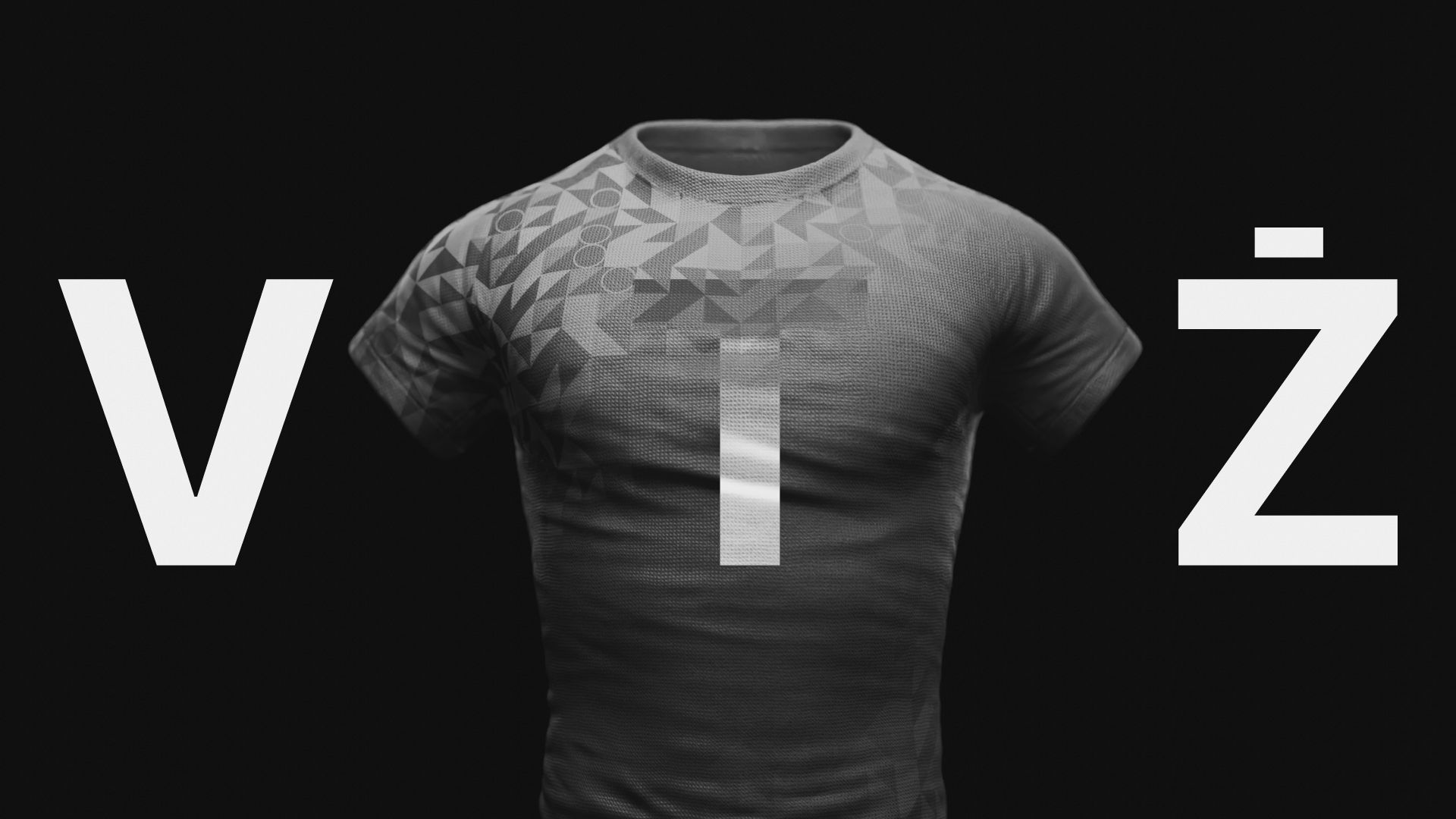 VTŽ